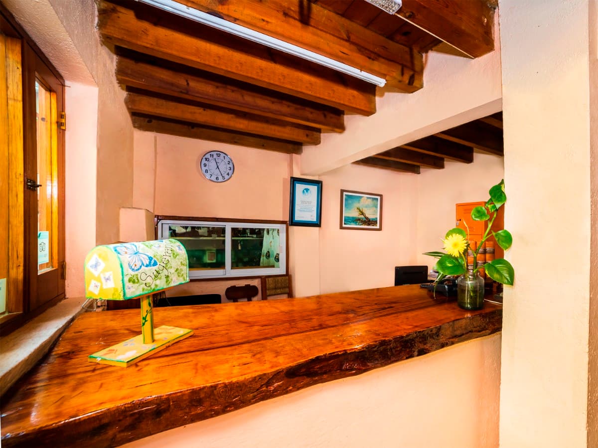 Posada Real del Valle imagen 6